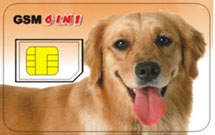 Chip card