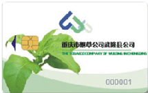 Chip card